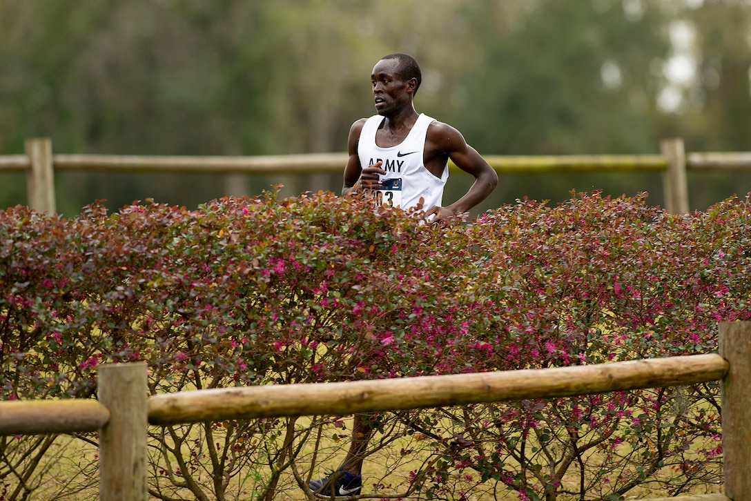 2019 USA Track and Field Cross Country Championship in Tallahassee, Fl. Feb. 2, 2019. (DoD photo by EJ Hersom)