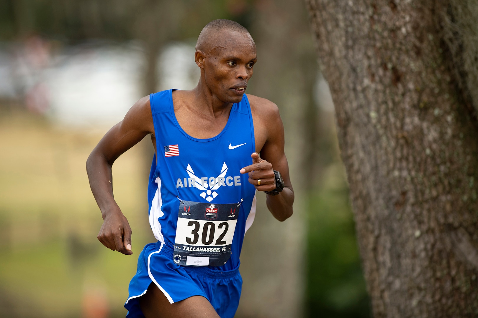 2019 USA Track and Field Cross Country Championship in Tallahassee, Fl. Feb. 2, 2019. (DoD photo by EJ Hersom)