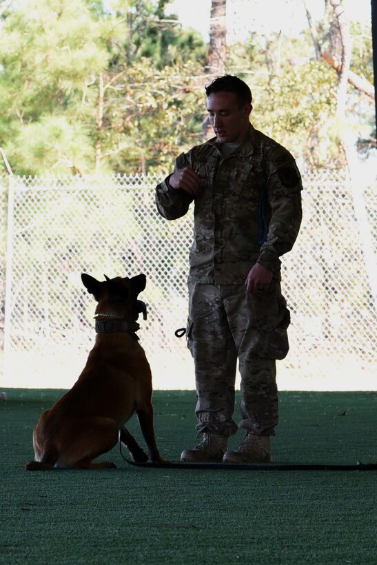 U.S. Air Force Senior Airman James Terry, 20th Security Forces Squadron (SFS) military working dog (MWD) handler, and Tank, 20th SFS MWD, practice basic obedience commands at Shaw Air Force Base (AFB), S.C., Feb. 4, 2019.