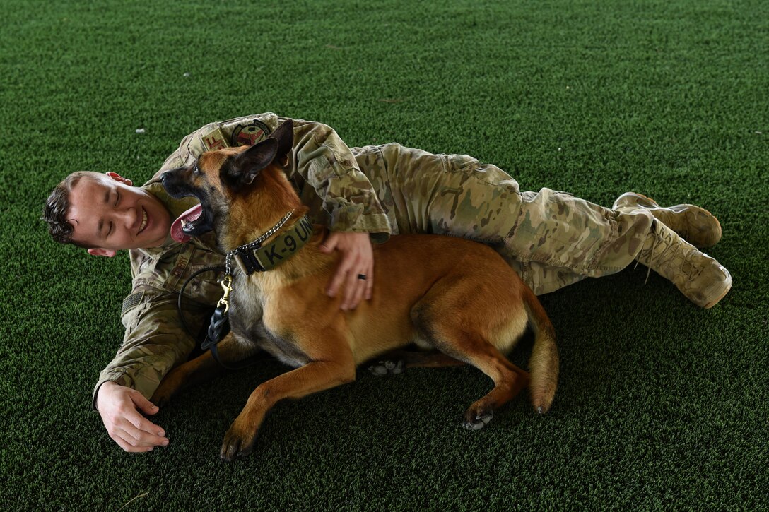 An Airman lies on the ground with a German Shephard.