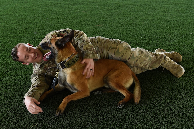 An Airman lies on the ground with a German Shephard.