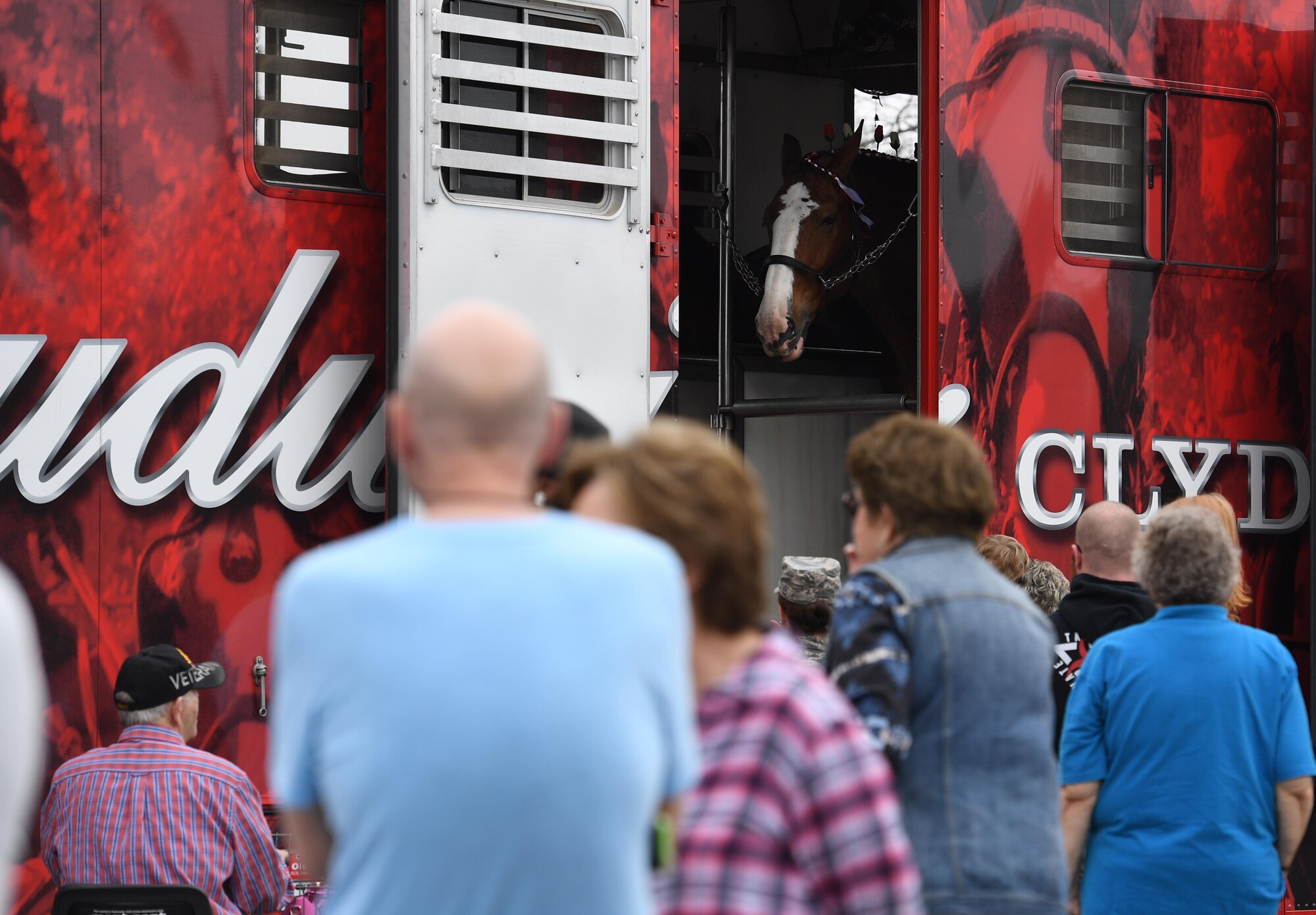 The Budweiser Clydesdales entertain crowds during a parade at Keesler Air Force Base, Mississippi, Feb. 7, 2019. They made their first appearance in 1933 and have been featured prominently in two presidential inaugurations. The Keesler Base Exchange hosted the event for Airmen and their families to enjoy. (U.S. Air Force photo by Kemberly Groue)