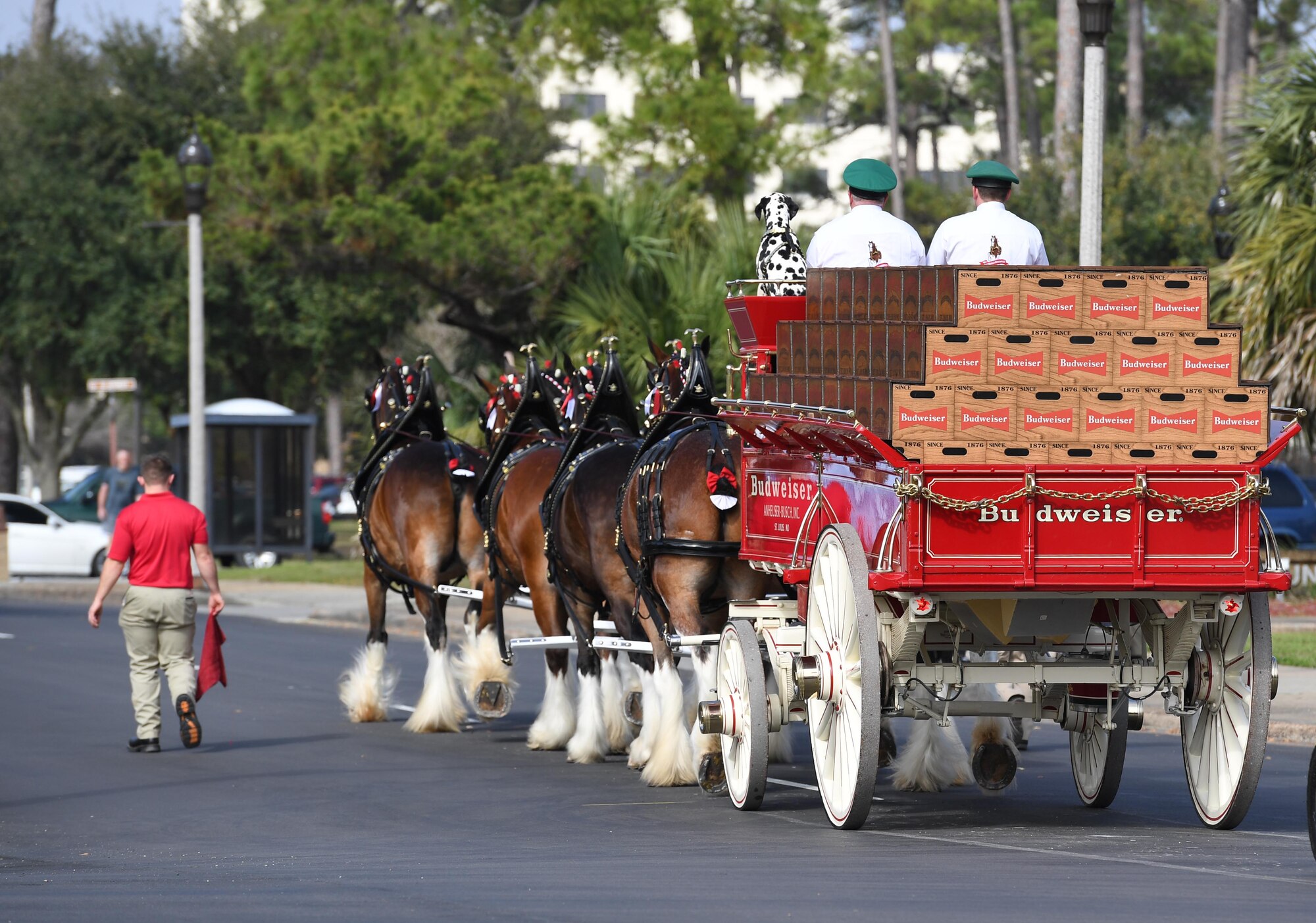 The Budweiser Clydesdales parade down Larcher Blvd. at Keesler Air Force Base, Mississippi, Feb. 7, 2019. They made their first appearance in 1933 and have been featured prominently in two presidential inaugurations. The Keesler Base Exchange hosted the event for Airmen and their families to enjoy. (U.S. Air Force photo by Kemberly Groue)