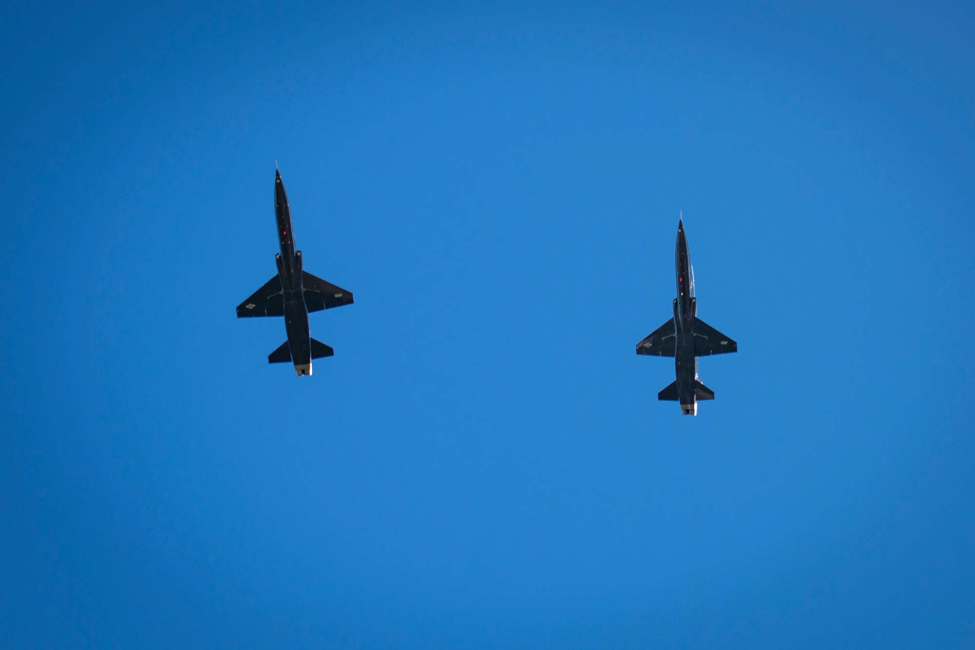 Two Air Force T-38 Talons flyover a reburial ceremony for Tuskegee Airman, Edwin Cowan, Feb. 7, 2019, at Cape Canaveral National Cemetery, Fla
