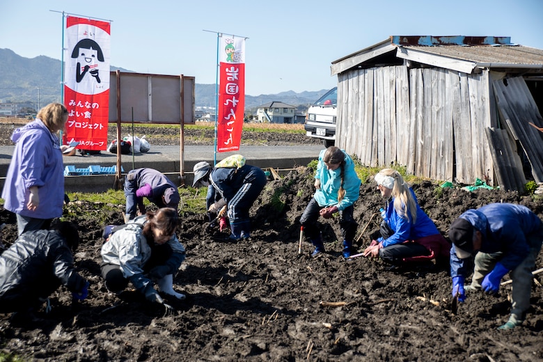 Learning the roots: station residents dig lotus roots