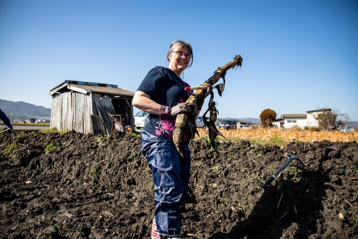 Learning the roots: station residents dig lotus roots