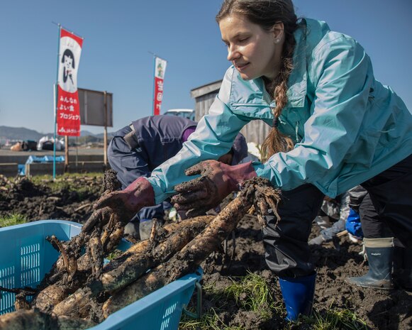 Learning the roots: station residents dig lotus roots