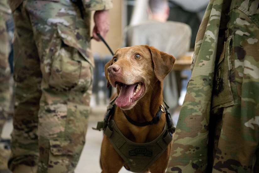 Air Force religious affairs Airmen from the 451st Air Expeditionary Group teamed up with Army behavioral Soldiers from Train Advise and Assist Command-South Feb. 2, 2019 at Kandahar Airfield, Afghanistan.