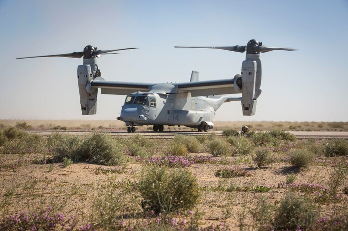 A MV-22B Osprey sits on the landing strip at AUX II, one of the training ranges that belongs to Marine Corps Air Station Yuma, as a U.S. Marine assigned to Marine Wing Support Squadron 371 (MWSS-371) provides security, Jan. 22, 2019.  During this portion of the training exercise, the bulk fuels specialists of MWSS-371 practiced setting up security for an MV-22B Osprey landing at AUX II. The MV-22B is a tiltrotor aircraft with both vertical takoff and landing (VTOL), and short takeoff and landing capabilities (STOL) and is the primary assault support aircraft for the U.S. Marine Corps. MCAS Yuma is a prime location to conduct military training with its variety of different training range; both foreign military units and all branches of the U.S. military that visit the air station utilize the ranges throughout the year. (U.S. Marine Corps photo by Cpl. Isaac D. Martinez)