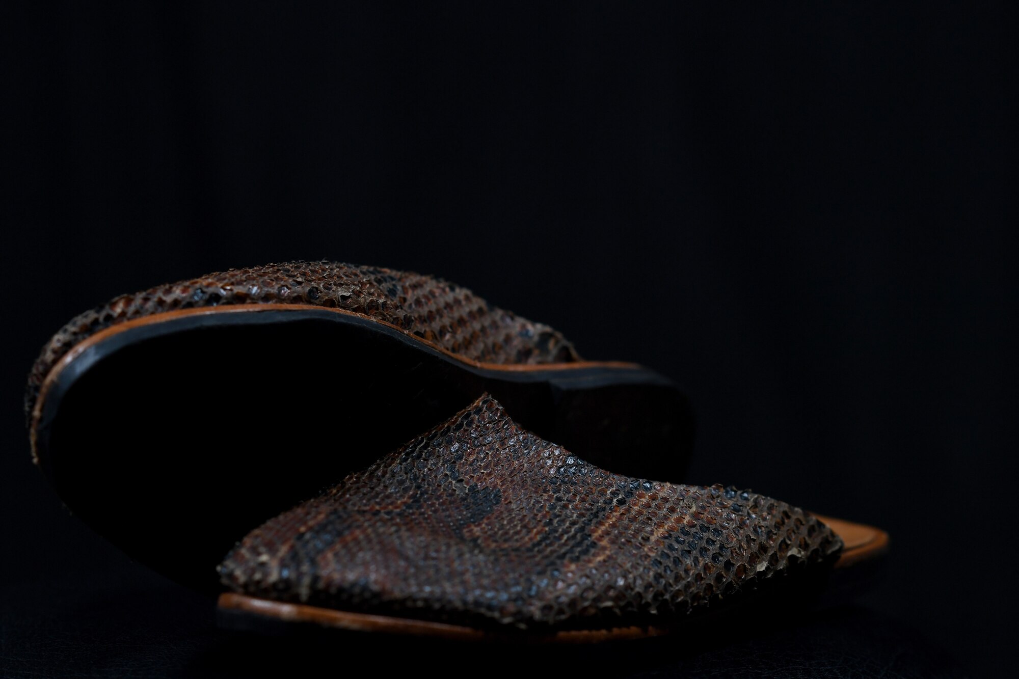 Snakeskin shoes belonging to U.S. Air Force Tech. Sgt. Francis Strother, recruiter for the 145th Airlift Wing, sit on display at the North Carolina Air National Guard (NCANG) Base, Charlotte Douglas International Airport, Jan. 17, 2019. Strother tells a story of how he came from Monrovia, Liberia following a civil war in his country that lasted almost eight years. At times, Strother walked barefoot 10 miles to get to school and other times he wore shoes like the ones on display.