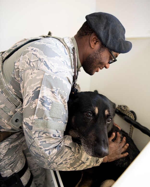 Senior Airman Tyclint Andrews, 30th Security Forces Squadron military working dog handler, bathes his military working dog Dec. 17, 2018, on Vandenberg Air Force Base, Calif. Its each handler's responsibility to to bathe their dog twice a month to keep them clean; however, the was schedule can vary depending on how clean each dog is. (U.S. Air Force photo by Airman 1st Class Hanah Abercrombie)