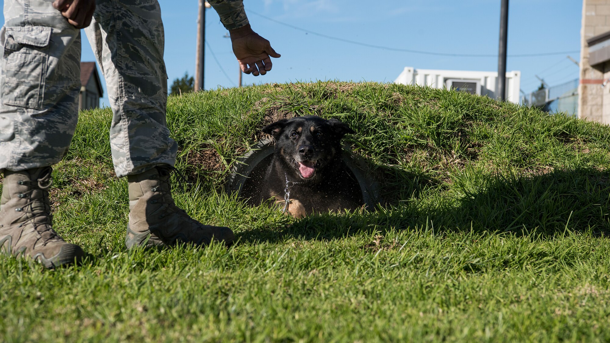Senior Airman Tyclint Andrews, 30th Security Forces Squadron military dog handler, takes his military working dog through a tunnel on the training course Dec. 18, 2018, on Vandenberg Air Force Base, Calif. (U.S. Air Force photo by Airman 1st Class Hanah Abercrombie)