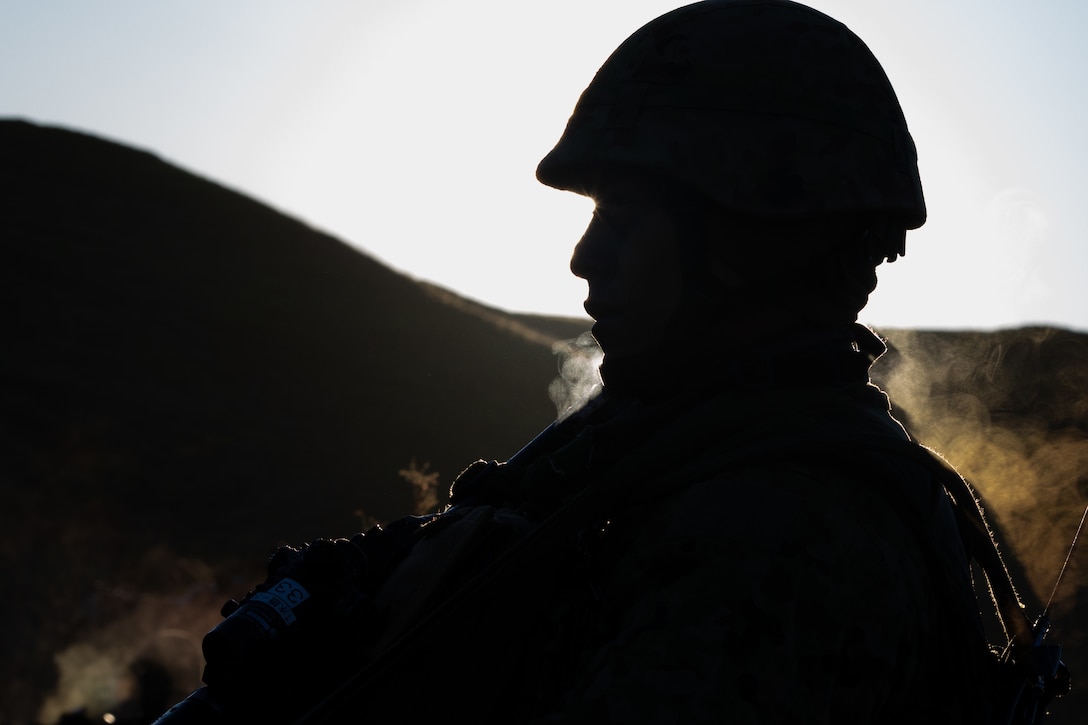 Soldiers from the 1st Amphibious Rapid Deployment Brigade, Japan Ground Self-Defense Force (JGSDF) conduct individual and small-unit maneuver exercises during Iron Fist at Marine Corps Base Camp Pendleton, California, February 6, 2019. Exercise Iron Fist is an annual, bilateral amphibious training exercise designed to improve U.S. Marine Corps and the JGSDF’s ability to plan, communicate and conduct combined amphibious operations.
