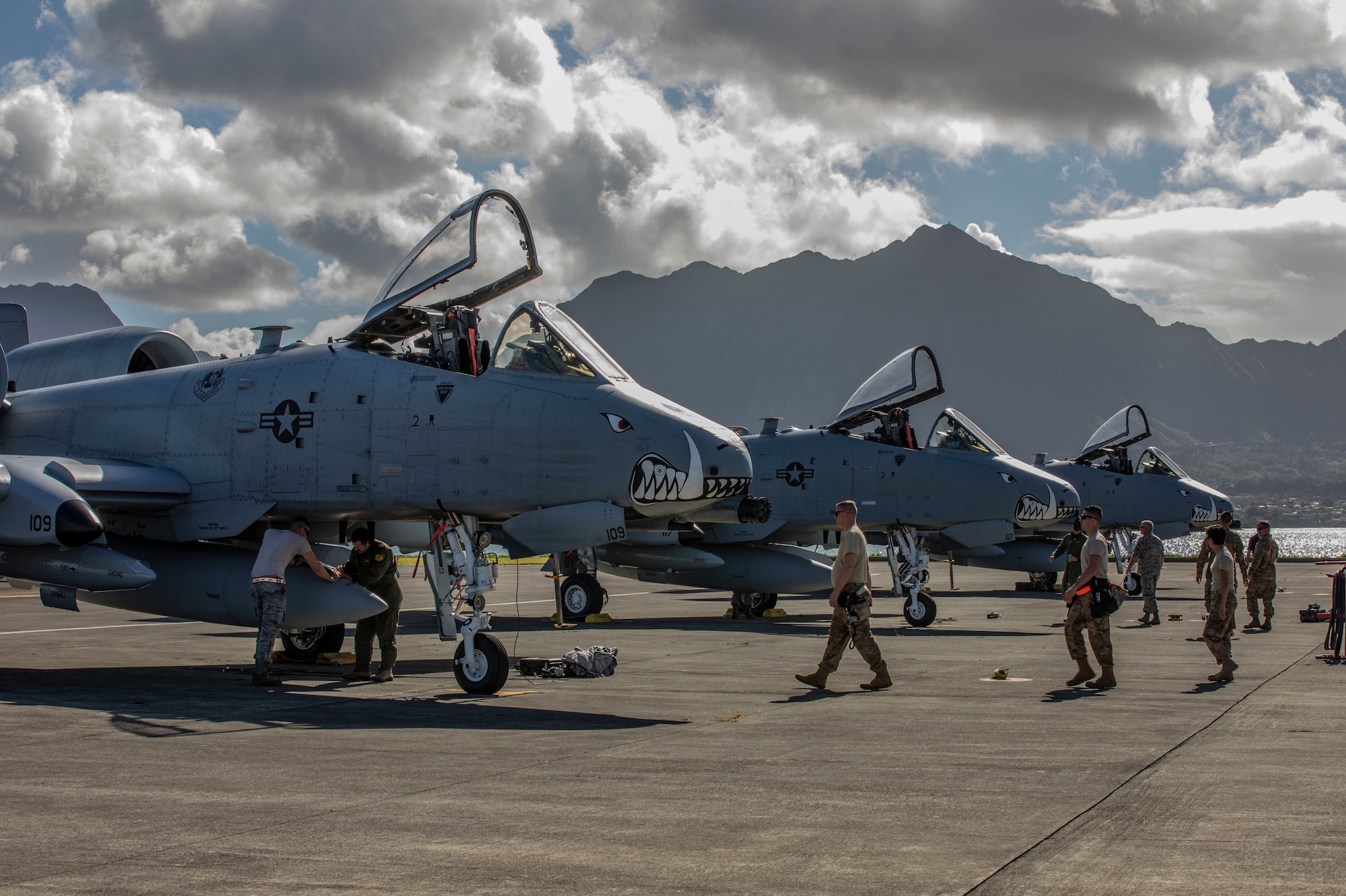 U.S. Airmen assigned to the 442nd Fighter Wing from Whiteman Air Force Base, Missouri, secure and prepare A-10 Thunderbolt II aircraft after arriving aboard Marine Corps Air Station Kaneohe Bay, Marine Corps Base Hawaii, Feb. 11, 2019.
