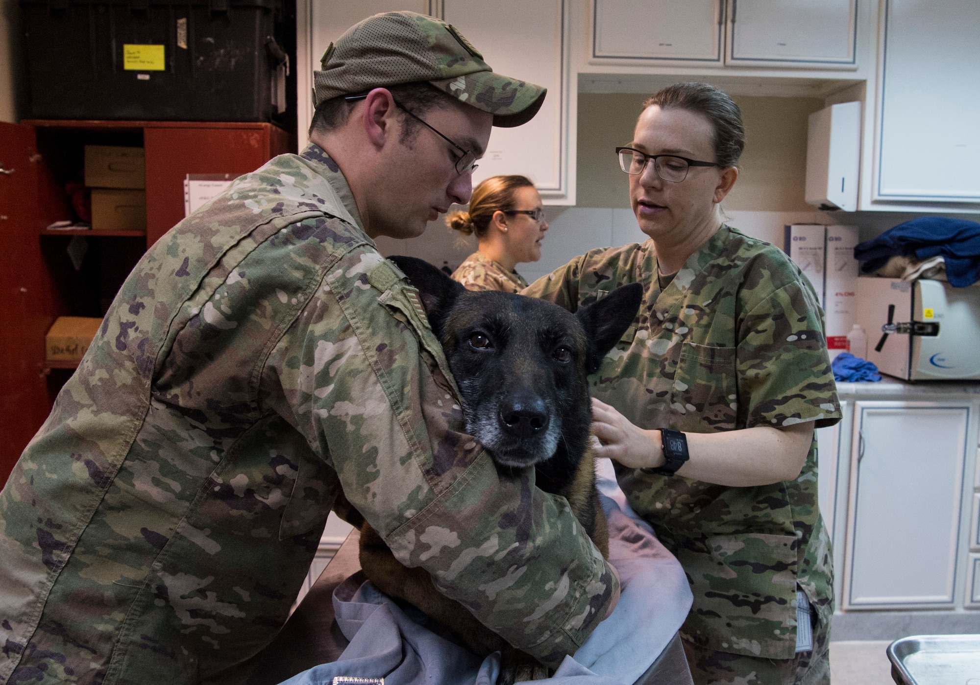 Army, Air Force K-9 dental team keep bite in the fight