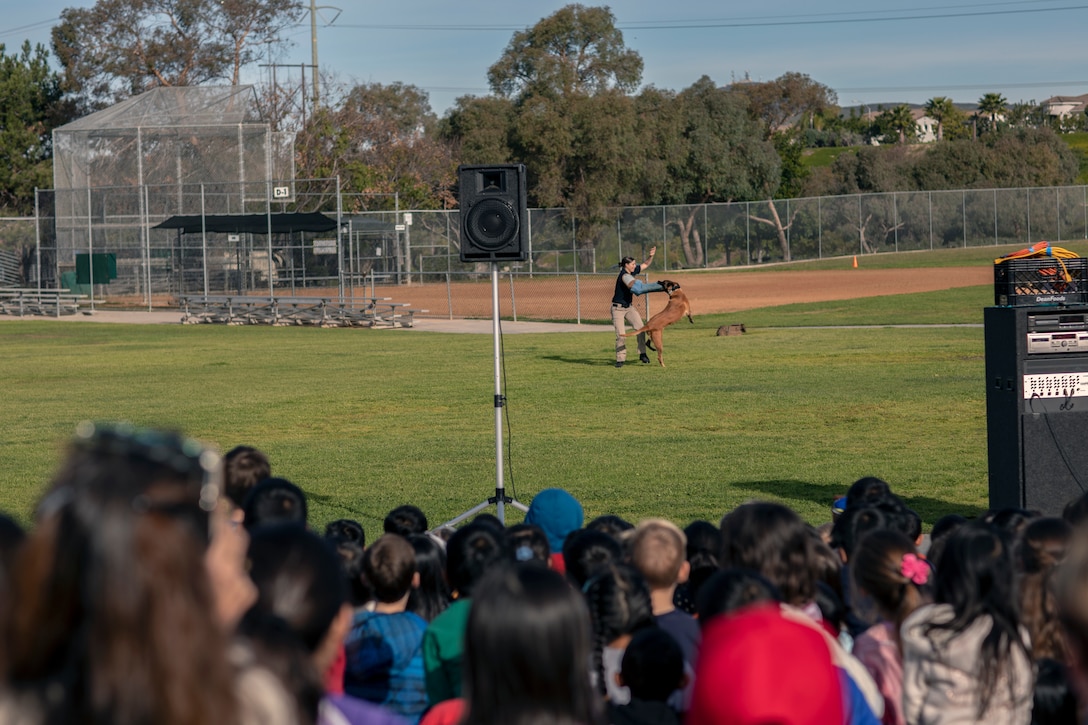 Officer Elise Baldwin, a military working dog (MWD) handler at Marine Corps Air Station Miramar, demonstrates the capabilities of MWDs at Dingeman Elementary School, San Diego, Calif., Feb. 12. MCAS Miramar conducted this demonstration to teach students about the MWD handler military occupational specialty as well as foster cohesion with the surrounding community. (U.S. Marine Corps photo by Sgt. Jake McClung)