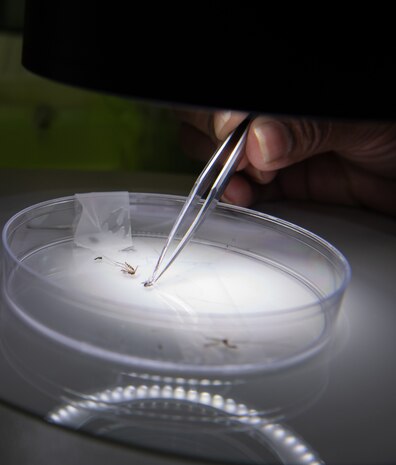 2019 Air Force Biomedical Sciences Corps Week