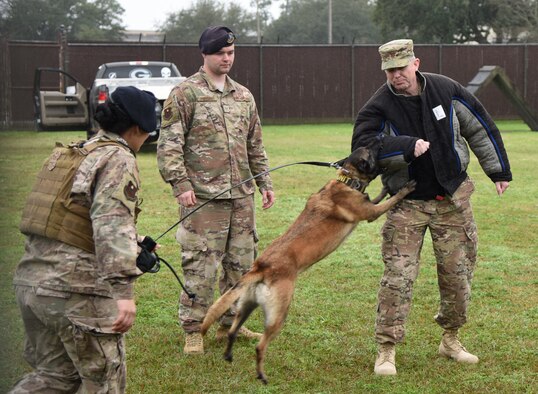 U.S. Air Force Maj. Jon Drummond, 81st Communications Squadron commander, (right), and Mmaura, 81st Security Forces Squadron military working dog, participate in a MWD demonstration with the assistance of Senior Airman Tilar Robinson, (left), and Staff Sgt. Timothy Poissant, (center), 81st SFS MWD handlers, during the 81st SFS Military Working Dog Kennel Expo at Keesler Air Force Base, Mississippi, Feb. 11, 2019. The event, which is one of several in recognition of the Year Of The Defender, allowed the 81st SFS to showcase their training and mission capabilities to leadership from the 81st Training Wing. The expo included a daily MWD operations briefing, a MWD patrol scenario and a demonstration of veterinarian support provided to the MWDs. (U.S. Air Force photo by Kemberly Groue)