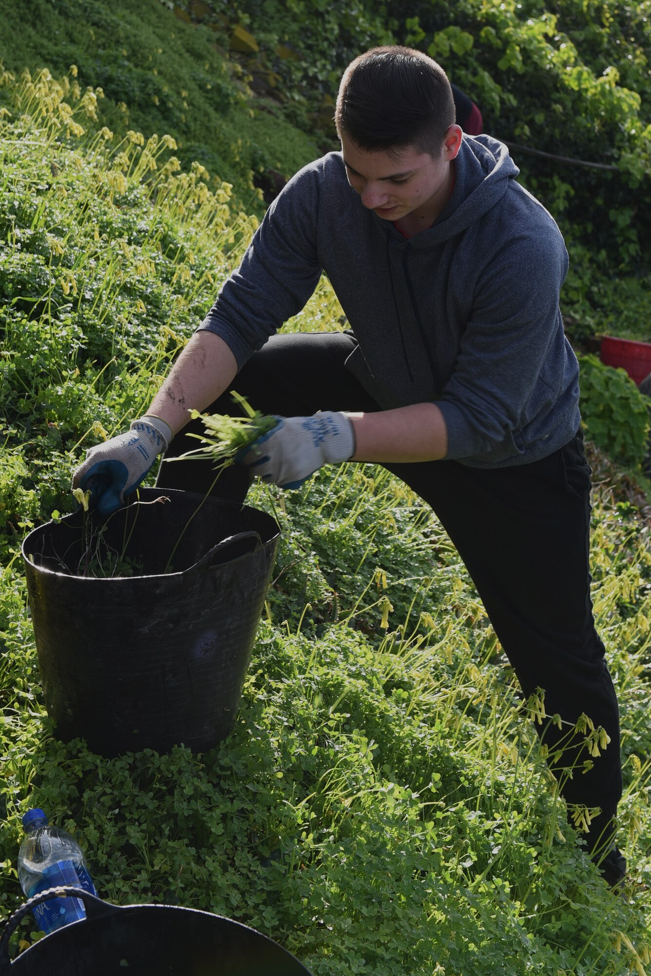 U.S. Air Force Airman 1st Class Kevin Westl, 60th Operations Support Squadron air traffic controller apprentice, pulls weeds from the gardens on Alcatraz Isalnd 9 a.m. Feb. 9, 2019, in San Francisco. Westl participated in a vollunteer clean up to help out his local community. (U.S. Air Force photo by Airman 1st Class Otte)