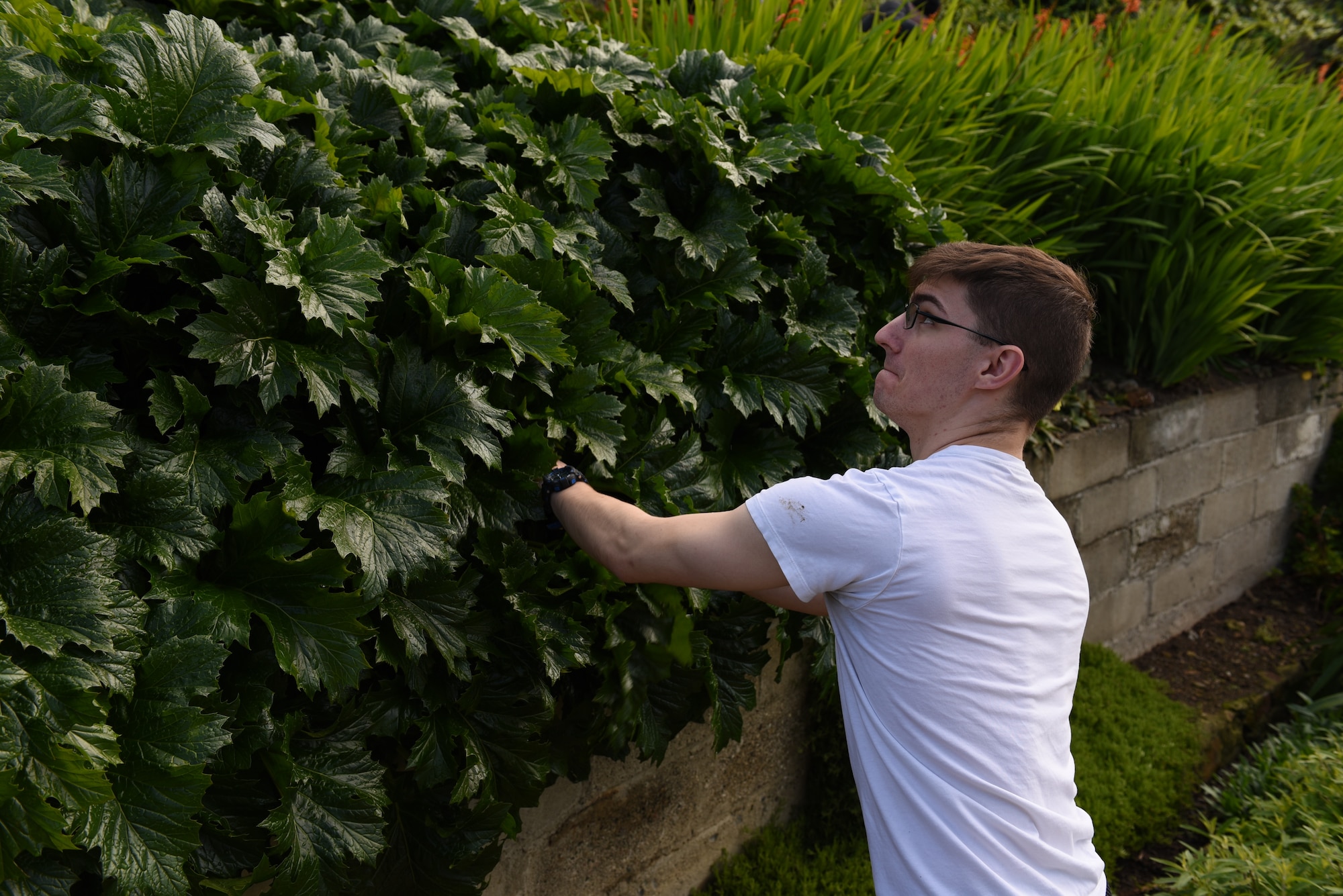 U.S. Air Force Staff Sgt. Chris Hahaj, 60th Operations Support Squadron weather journeyman, pulls weeds from the gardens on Alcatraz Isalnd 9 a.m. Feb. 9, 2019, in San Francisco. Hahaj participated in a vollunteer clean up to help out his local community. (U.S. Air Force photo by Airman 1st Class Otte)