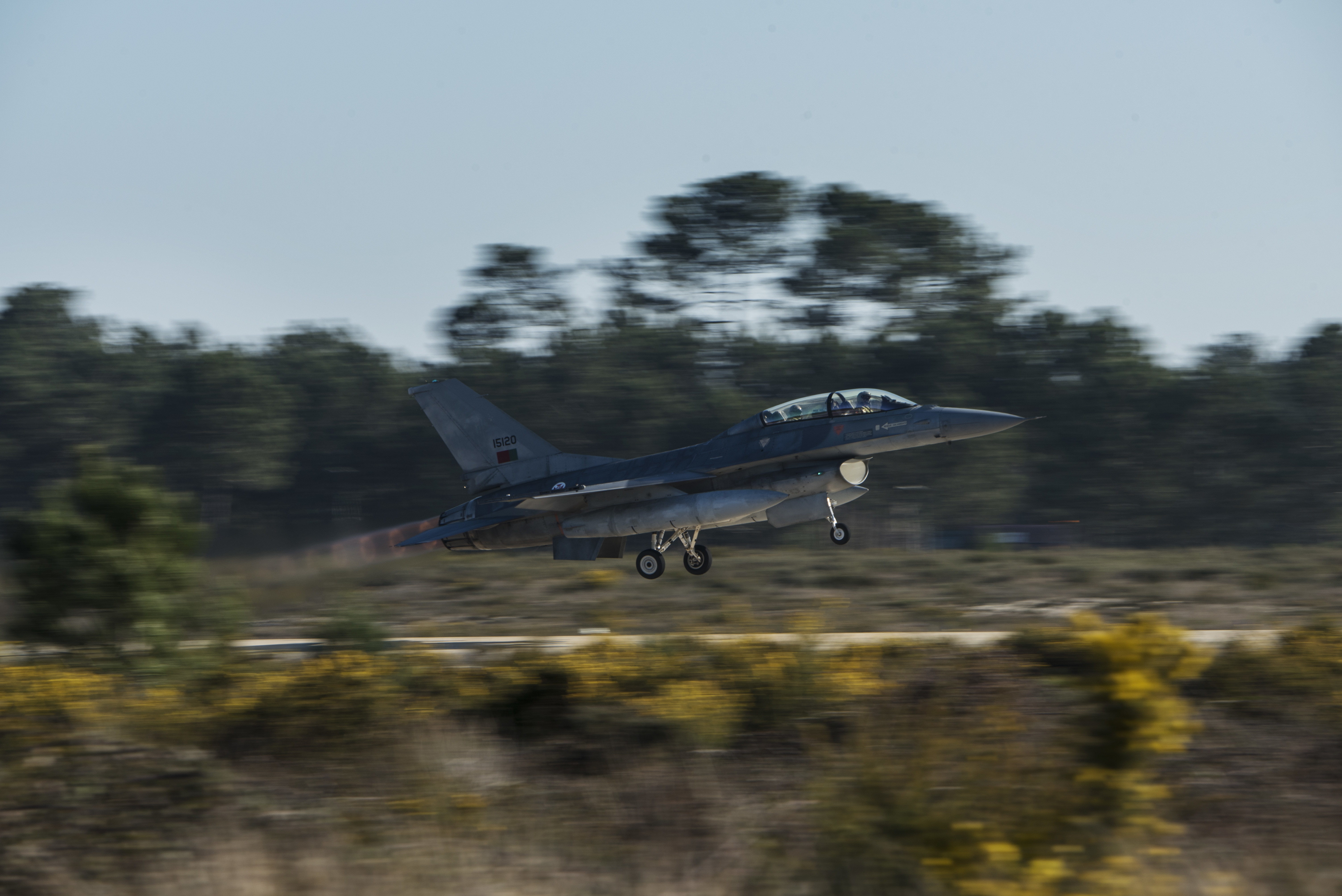 portuguese air force website
