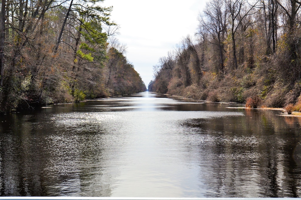 a view of the river with forest on each side