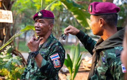 U.S., Thai Soldiers Train on Jungle Survival, Basic Rifle Marksmanship, Room Clearing Procedures