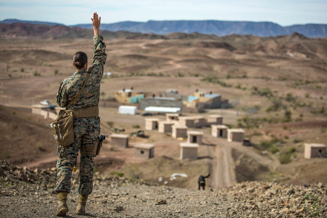 A Marine raises her arm as a dog in the distance runs toward her up a hill in desert terrain.