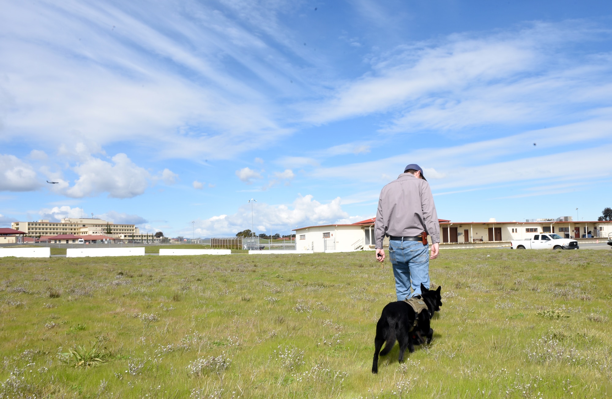 Matt Stevens, U.S. Department of Agriculture airport biologist, and Otto, the safety dog, patrol the areas around the flight line Feb. 20, 2019, at Travis Air Force Base, Calif. With more than 133 different bird species identified at Travis since July 2014, Otto and Matt play an important role in ensuring Travis’ C-17 Globemaster IIIs, KC-10 Extenders and C-5M Super Galaxies can complete their flying missions safely. (U.S. Air Force photo by Airman 1st Class Christian Conrad)