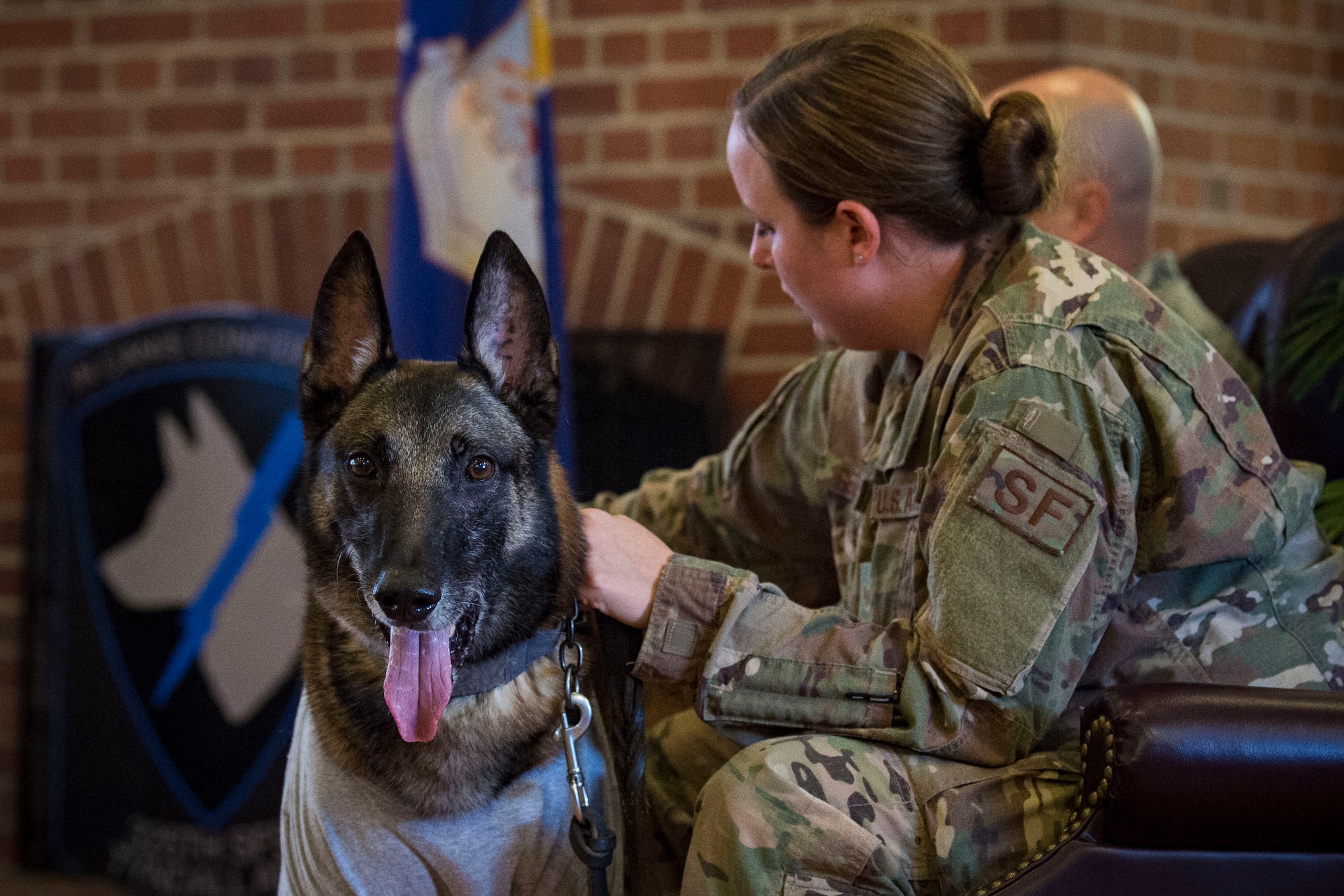 Staff Sgt. Lyndsay Gebhart, 23d Security Forces Squadron (SFS) military working dog handler, grooms military working dog ZIPPO during a retirement ceremony, Feb. 21, 2019, at Moody Air Force Base, Ga. ZIPPO was assigned to the 325th SFS at Tyndall Air Force Base, Fl. in Nov. 2011, as a patrol/explosive dog. During his eight years on active duty, he’s deployed to Saudi Arabia twice and supported four United States Secret Service missions where he provided security for the President and Vice President of the United States. (U.S. Air Force photo by Senior Airman Janiqua P. Robinson)