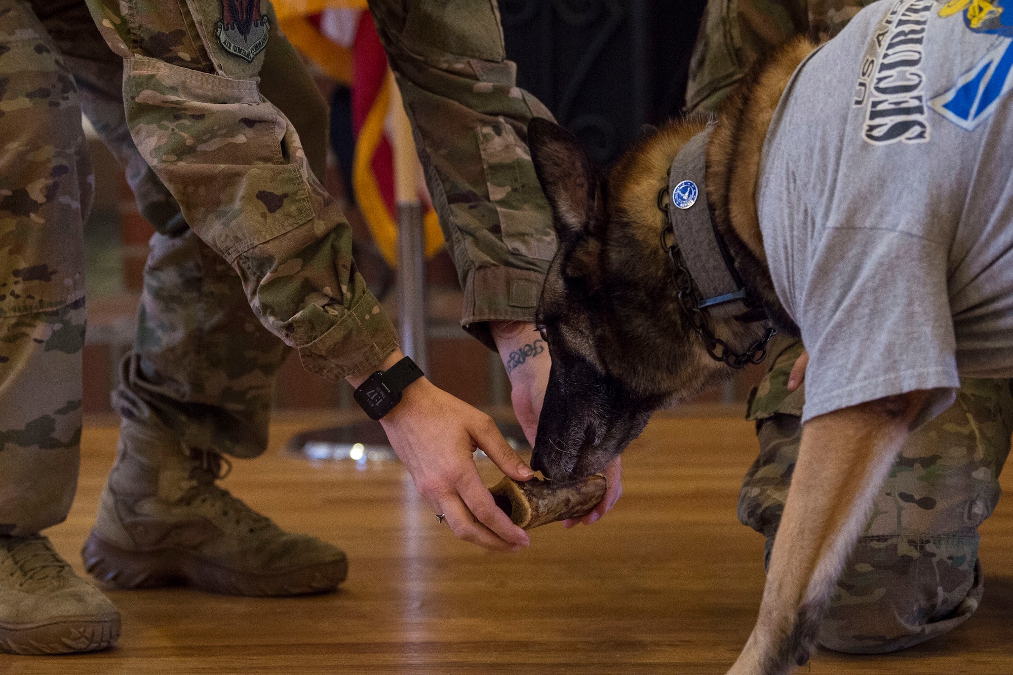 Tech. Sgt. Renee Mansour 23d Security Forces Squadron (SFS) kennel master, presents military working dog ZIPPO with his last bone during a retirement ceremony, Feb. 21, 2019, at Moody Air Force Base, Ga. ZIPPO was assigned to the 325th SFS at Tyndall Air Force Base, Fl. in Nov. 2011, as a patrol/explosive dog. During his eight years on active duty, he’s deployed to Saudi Arabia twice and supported four United States Secret Service missions where he provided security for the President and Vice President of the United States. (U.S. Air Force photo by Senior Airman Janiqua P. Robinson)
