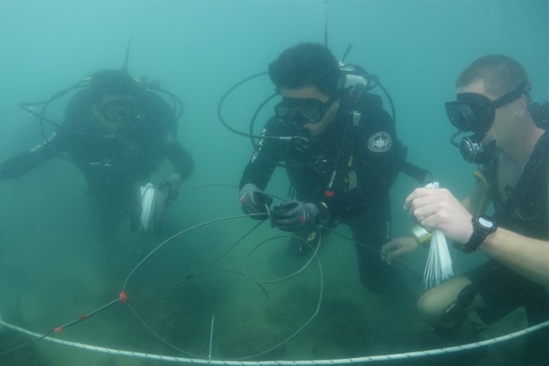 Divers construct explosives underwater.
