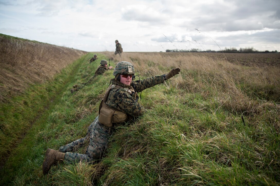 A U.S. Marine with Special Purpose Marine Air-Ground Task Force-Crisis Response-Africa 19.1, Marine Forces Europe and Africa, points out simulated enemy targets during a close-air-support training event with the British Royal Air Force at Holbeach Range, England, Feb. 19, 2019.