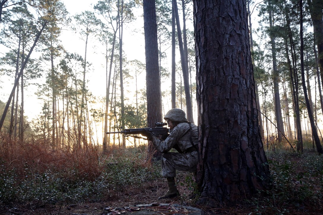 A Marine Corps recruit points a weapon from behind a tree.