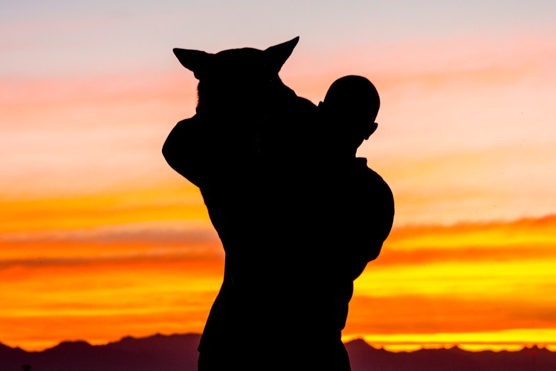 U.S. Marine Corps Cpl. Abel A. Ornelas, dog handler, with the Provost Marshall's Office, K9 Section, Headquarters and Headquarters Squadron, Marine Corps Air Station (MCAS) Yuma, poses for a silhouette photograph with his Military Working Dog (MWD) Cato on MCAS Yuma, Jan. 18, 2019. MWD's are trained to subdue or intimidate suspects before having to use lethal force; they are also used for detecting explosives, narcotics, and other harmful materials. (U.S. Marine Corps photo by Sgt. Allison Lotz)