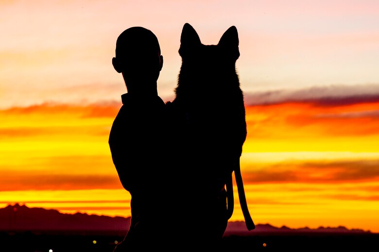 U.S. Marine Corps Sgt. Jenna L. Cauble, dog handler, with the Provost Marshall's Office, K9 Section, Headquarters and Headquarters Squadron, Marine Corps Air Station (MCAS) Yuma, poses for a silhouette photograph with her Military Working Dog (MWD) Ken on MCAS Yuma, Jan. 18, 2019. MWD's are trained to subdue or intimidate suspects before having to use lethal force; they are also used for detecting explosives, narcotics, and other harmful materials. (U.S. Marine Corps photo by Sgt. Allison Lotz)