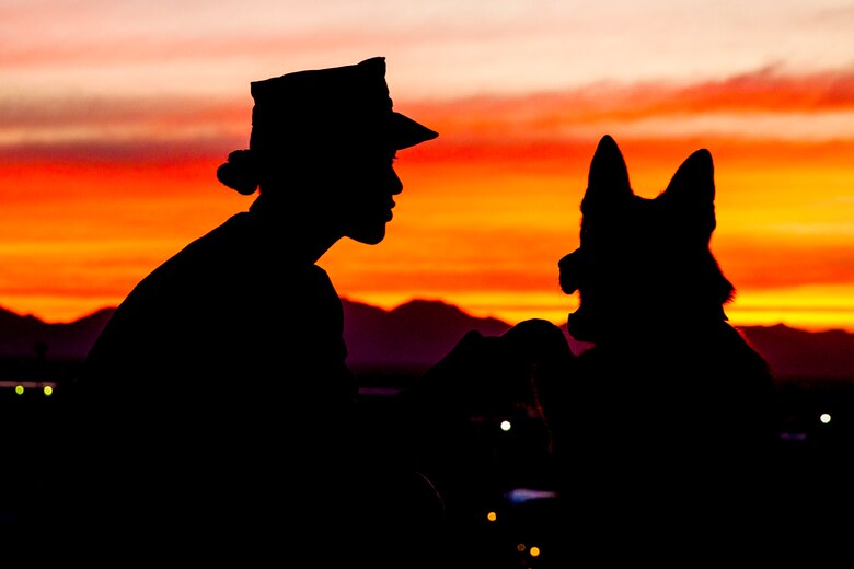 U.S. Marine Corps Sgt. Jenna L. Cauble, dog handler, with the Provost Marshall's Office, K9 Section, Headquarters and Headquarters Squadron, Marine Corps Air Station (MCAS) Yuma, poses for a silhouette photograph with her Military Working Dog (MWD) Ken on MCAS Yuma, Jan. 18, 2019. MWDs are trained to subdue or intimidate suspects before having to use lethal force; they are also used for detecting explosives, narcotics, and other harmful materials. (U.S. Marine Corps photo by Sgt. Allison Lotz)