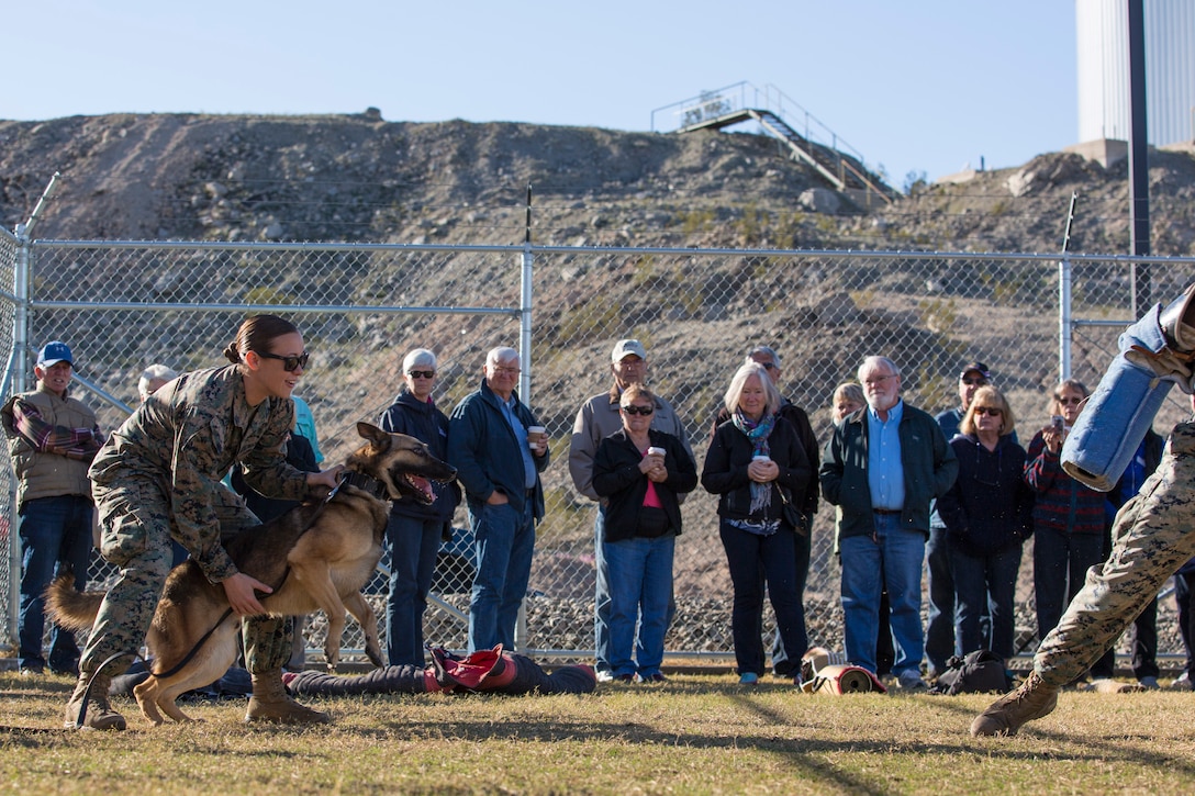 Guests participating in the Marine Corps Air Station (MCAS) Yuma Winter Tours observe a demonstration of the obstacle course, the Marine Corps Martial Arts Program (MCMAP), Explosive Ordinance Detection (EOD), and a military working dog demonstration at various locations on MCAS Yuma, Ariz., Feb. 6, 2019. Col. David A. Suggs, the station commanding officer, resumed the tours in 2018 to strengthen the relationship with the outside community and give them the opportunity to see what the Marines aboard the air station do. (U.S. Marine Corps photo by Sgt. Allison Lotz)