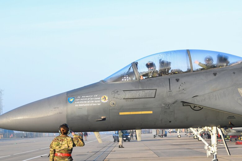 bred 11s hibbett sports