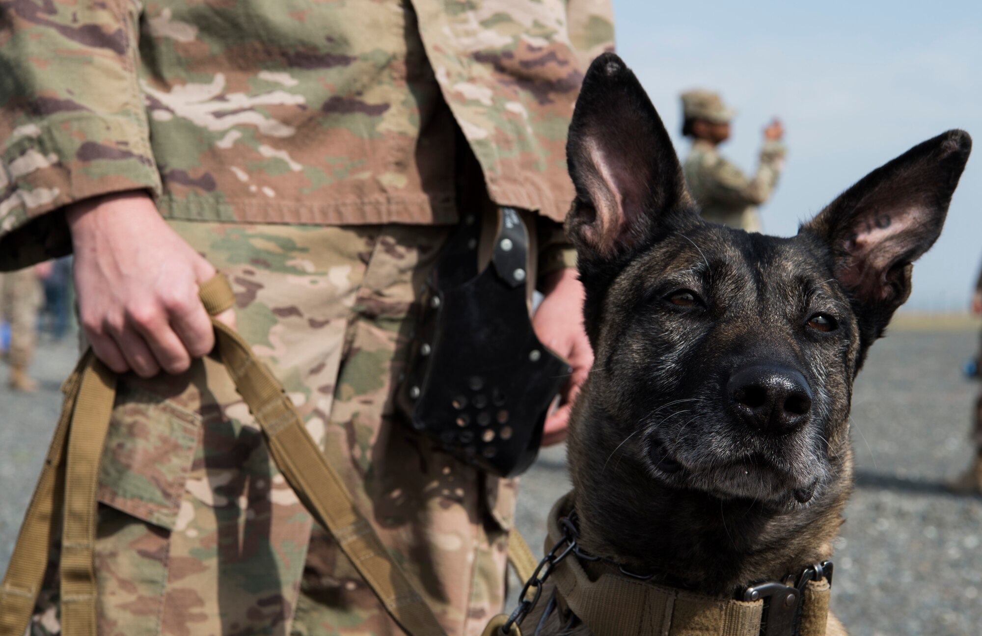 Airmen, Soldiers conduct joint CBRN training