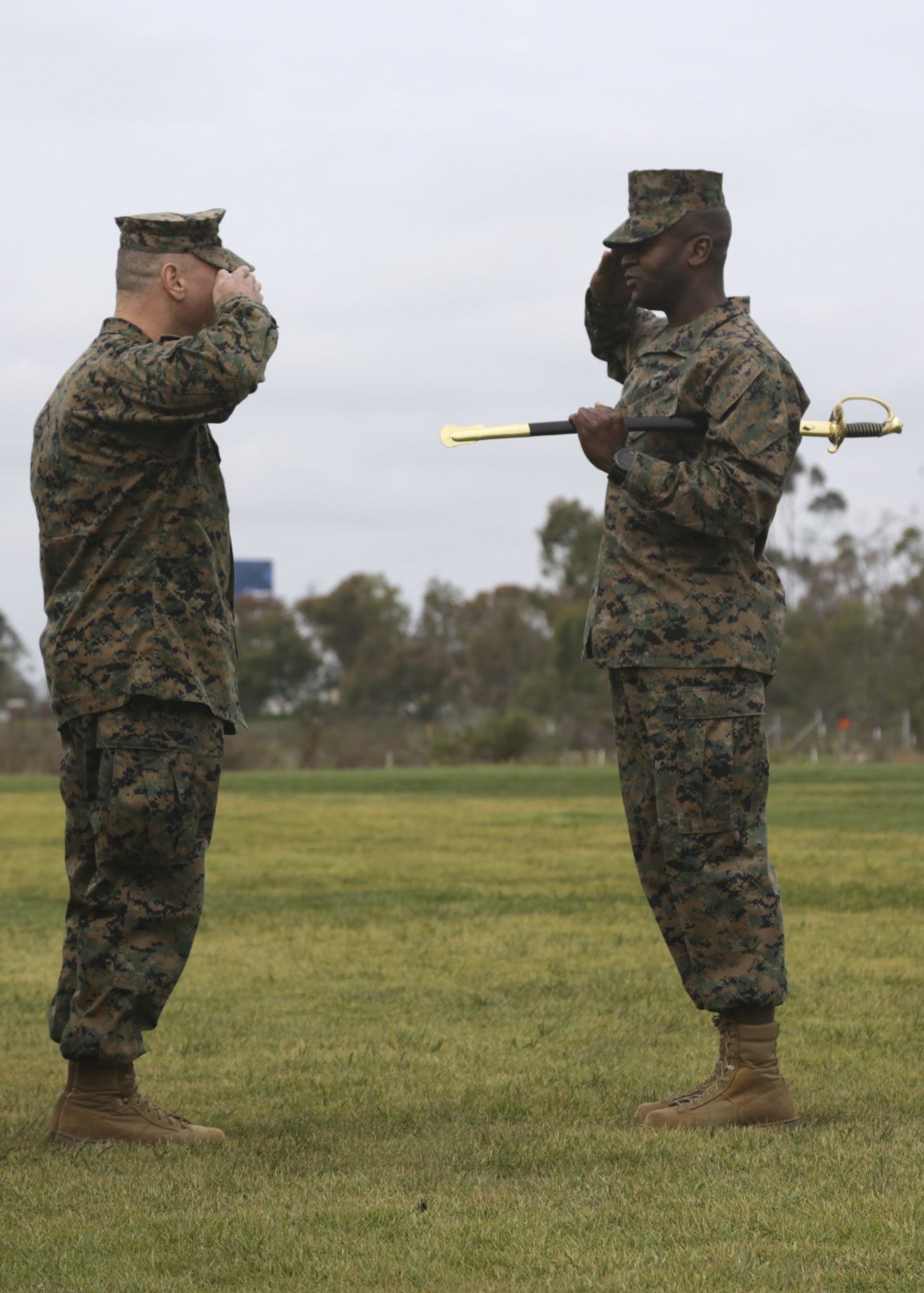 Sgt. Maj. Delwin K. Ellington, right, salutes Lt. Col. Andrew P. Albano, commanding officer of Marine Wing Headquarters Squadron (MWHS) 3, before relinquishing his post as MWHS-3 sergeant major during a ceremony at Marine Corps Air Station Miramar, Calif., Feb. 26. Ellington completed a three-year tour with his 3rd MAW family and is slated to assume the post as sergeant major of Special Purpose Marine Air Ground Task Force-Crisis Response-Central Command (SPMAGTF-CR-CC) 19.2 and deploy to Ahmad al-Jaber Air Base, Kuwait, late spring. (U.S. Marine Corps photo by Cpl. Joshua S. McAlpine)