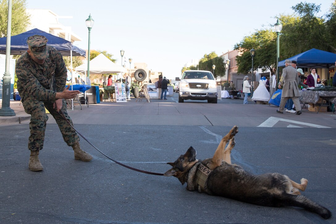 U.S. Marine Corps Cpl. Abel Ornelas, dog handler, Headquarters and Headquarters Squadron, Marine Corps Air Station Yuma, has Military Working Dog Cato "play dead" during Yuma Military Appreciation Day in Downtown Historic Yuma on Feb. 16, 2019. Military Appreciation Day is held to show the importance of the relationship between the City of Yuma and our service members and veterans. (U.S. Marine Corps photo by Sgt. Allison Lotz)