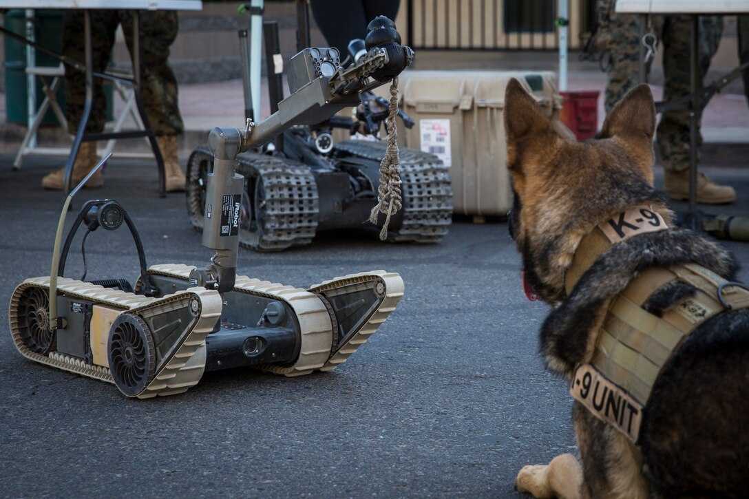 U.S. Marine Corps Military Working Dog Cato visits the Explosive Ordnance Disposal booth during Yuma Military Appreciation Day in Downtown Historic Yuma on Feb. 16, 2019. Military Appreciation Day is held to show the importance of the relationship between the City of Yuma and our service members and veterans. (U.S. Marine Corps photo by Sgt. Allison Lotz)