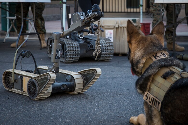 U.S. Marine Corps Military Working Dog Cato visits the Explosive Ordnance Disposal booth during Yuma Military Appreciation Day in Downtown Historic Yuma on Feb. 16, 2019. Military Appreciation Day is held to show the importance of the relationship between the City of Yuma and our service members and veterans. (U.S. Marine Corps photo by Sgt. Allison Lotz)