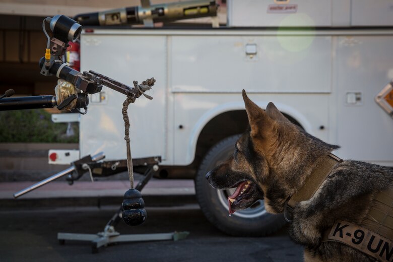 U.S. Marine Corps Military Working Dog Cato visits the Explosive Ordnance Disposal booth during Yuma Military Appreciation Day in Downtown Historic Yuma on Feb. 16, 2019. Military Appreciation Day is held to show the importance of the relationship between the City of Yuma and our service members and veterans. (U.S. Marine Corps photo by Sgt. Allison Lotz)
