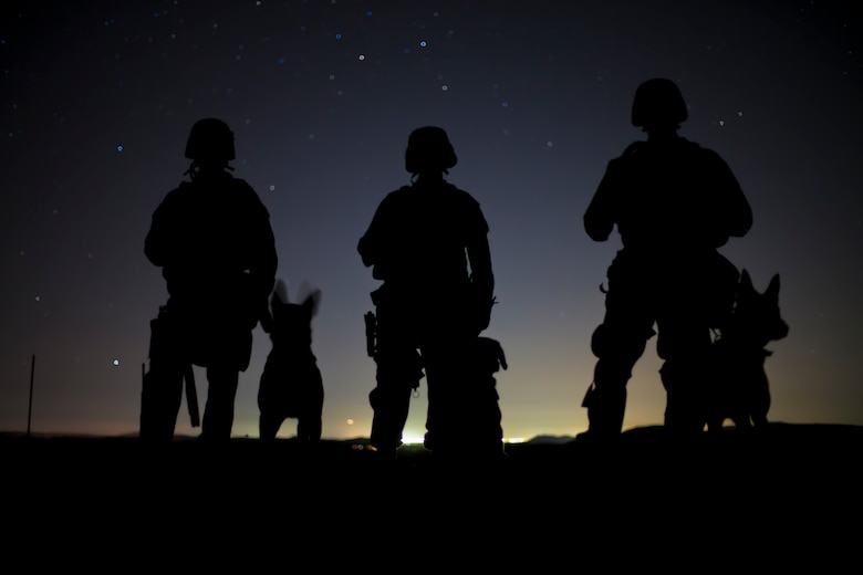U.S. Marine Corps K-9 handlers currently assigned to the Military Working Dog (MWD Team Deployment Training course pose for a photo with their MWD while conducting detection training on the Yuma Proving Ground (YPG), Feb. 25, 2019. The MWD Team Deployment Training Course is a three-week long course where MWD Handlers from all three Marine Expeditionary Forces advance their dog team capabilities by focusing on teaching teams to become effective and lethal assets. (U.S. Marine Corps photo by Lance Cpl. Joel Soriano)