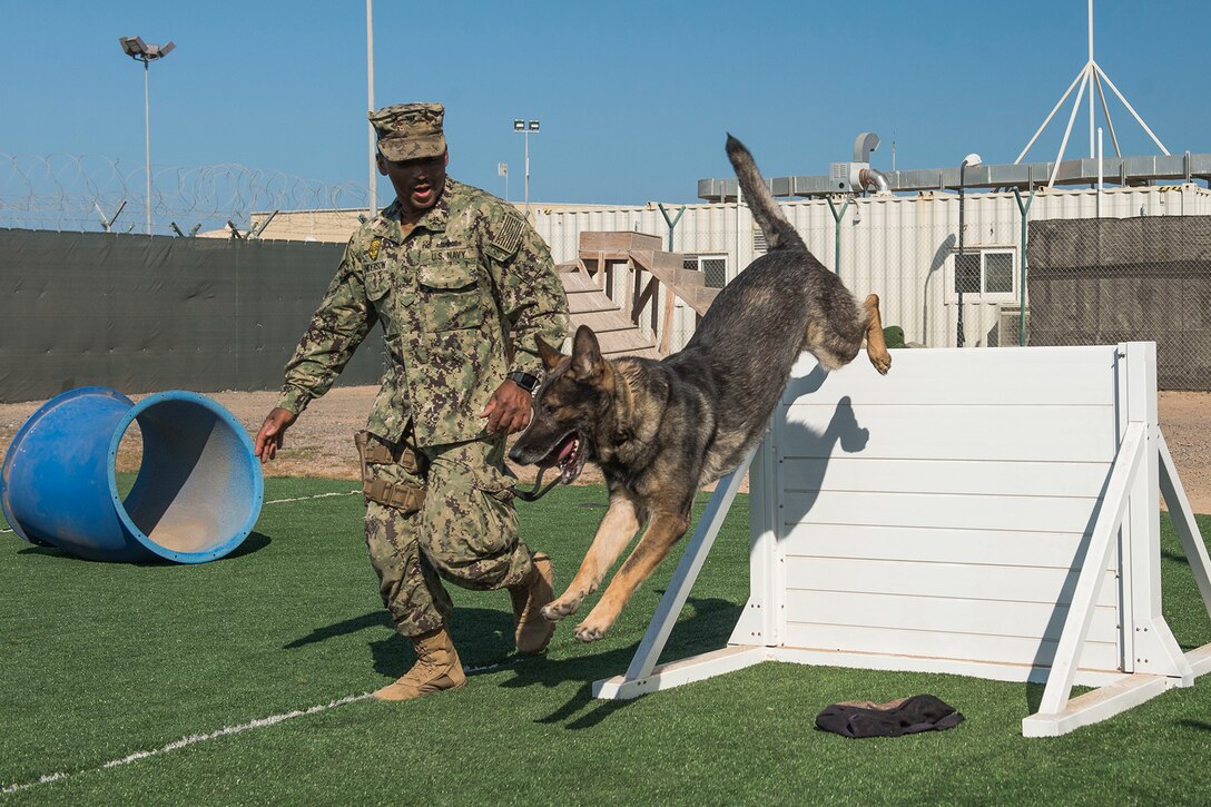 A service member leads a military working dog through an agility course.