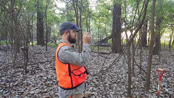 Corps to assess levee project’s impact on the environment