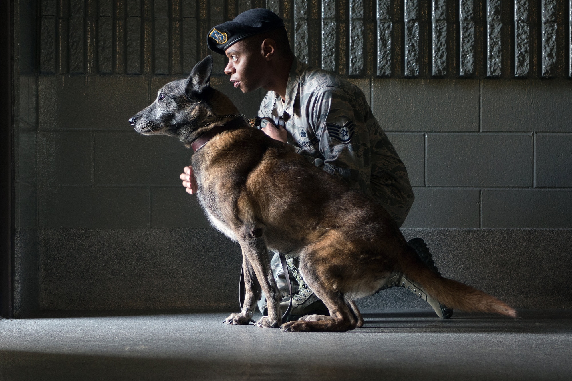 Staff Sgt. Christopher Bennett, 673rd Security Forces Squadron military working dog handler, works with Kimba, a Belgian Malinois