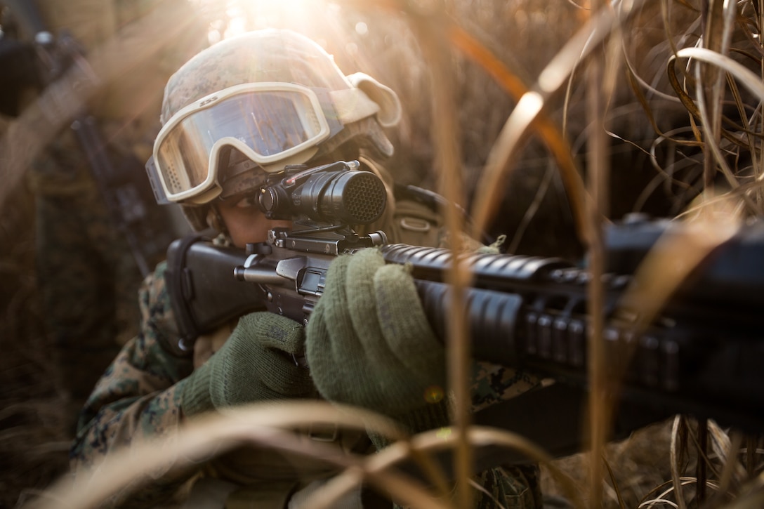 A Marine in a field  points a weapon.